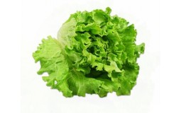 新鲜蔬菜绿叶生菜 约300g 生菜 火锅食材 沙拉食材 500g